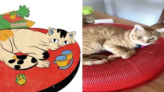 Cat Memes 😬 Skibidi Toilet Cat and Funniest Dogs 😸 Funny Animals | Trending 🥴 Part 5