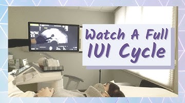 Our Fertility Journey - A Full IUI Cycle Documented