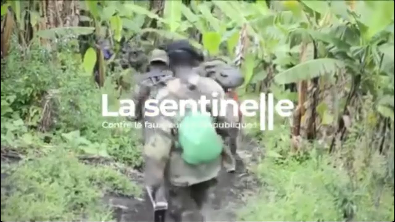 Conseil de sécurité de l’ONU, situation à l’Est, mission de la MONUSCO…