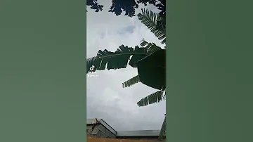 حلم صار لملاكه و شوفت الاحباب 