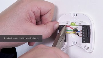 ecobee | How to install ecobee SmartThermostat Pro with voice control with forced air systems