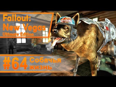 Видео: Fallout New Vegas #64 - Собачья жизнь