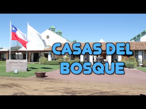 Viña Casas del Bosque