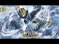 NatGeo Planet: Wings of Cold Iron | Empoleon - Emperor of the Sea (Real-Life Pokémon)