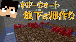 【カズクラ】ネザーウォート畑作ってみた！マイクラ実況 PART613