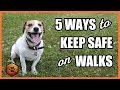 5 Ways to Keep Safe on Walks With Situational Awareness - Walking a Dog