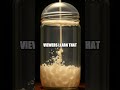 The Yeast Time Traveler
