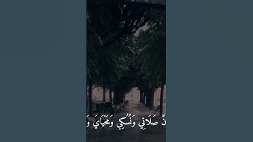تلاوة هادئة و مؤثرة للشيخ ماهر المعيقلي #ماهر_المعيقلي #قرآن #تلاوة_خاشعة