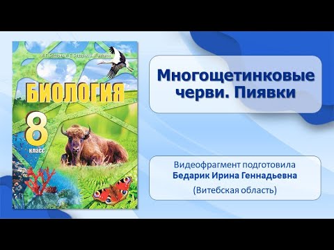 Тип Кольчатые черви. Тема 10. Многощетинковые черви. Пиявки