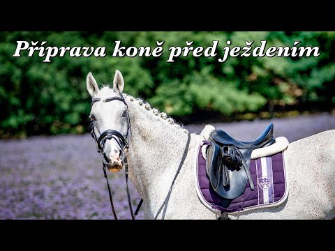 Video: Jak Osedlat Koně