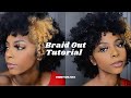 HOW TO: Braid Out Fro Tutorial