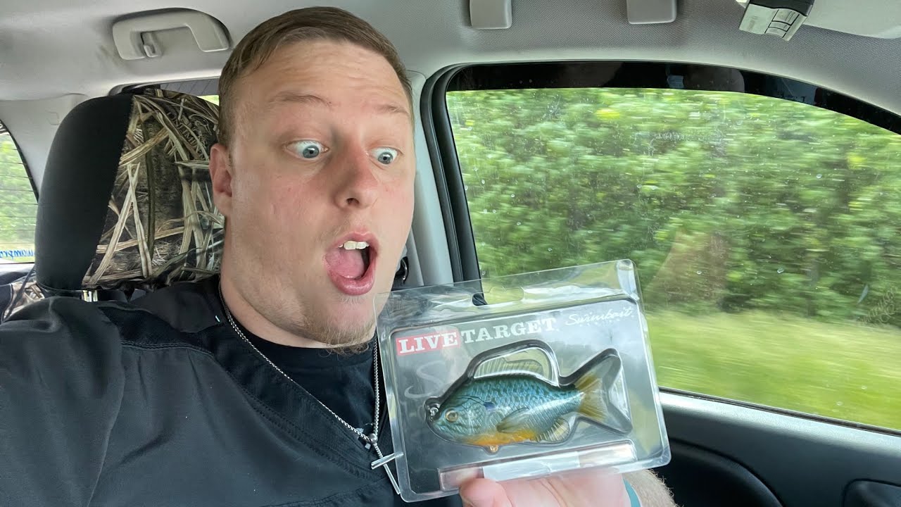 LiveTarget Swimbait Review/ Does it work?!