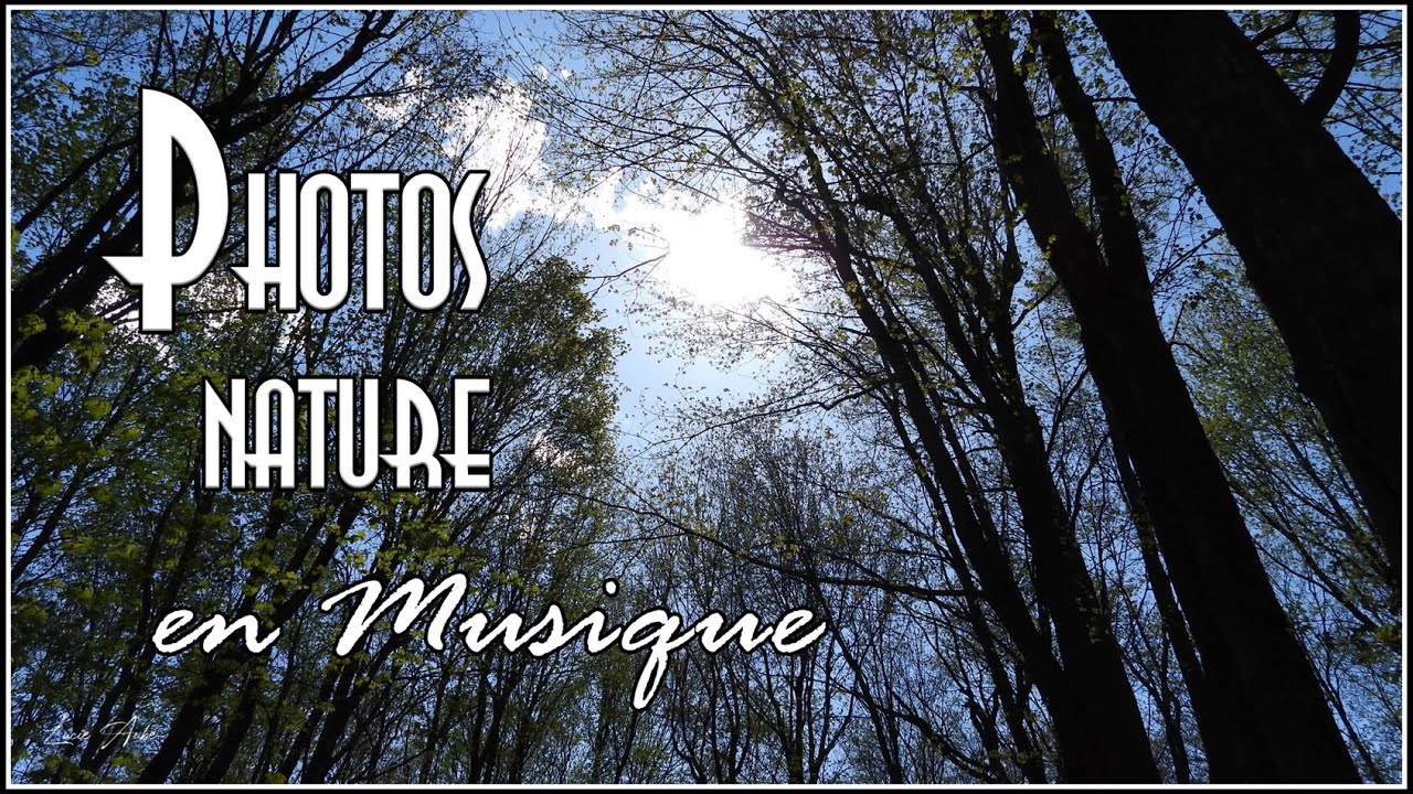 Guarda Photos - nature - en musique su YouTube Guarda Photos - nature - en musique su YouTube