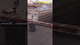 Download Lagu Dog on keyboards 😎🎹 (credits to @DoxieDin) MP3