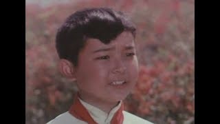 闪闪的红星 （红色电影） 1974