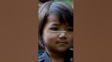 Ten of the Most Critically Endangered Languages in the World