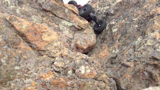 CK Fly V1 testing