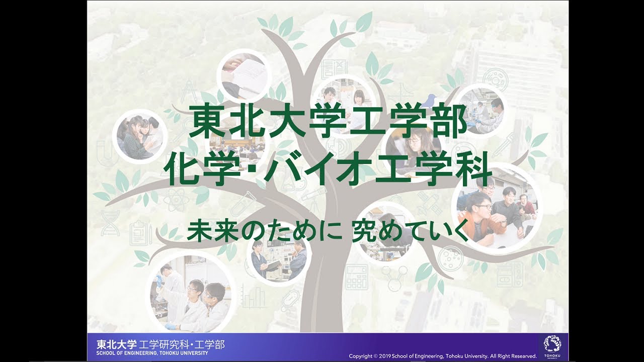 東北大学 大学院工学研究科 工学部 化学 バイオ系