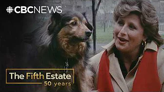 For Pets' Sake (1988) | The Fifth Estate