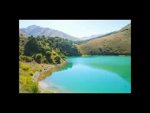 Порно онлайн каштанка