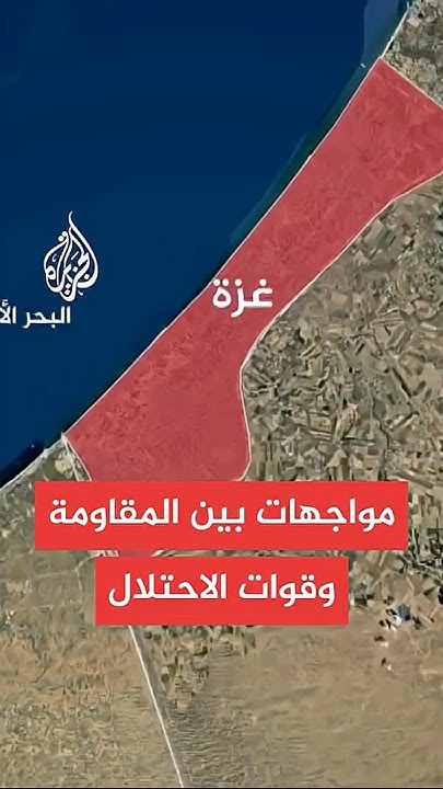        
 - نشر قبل 15 دقيقة