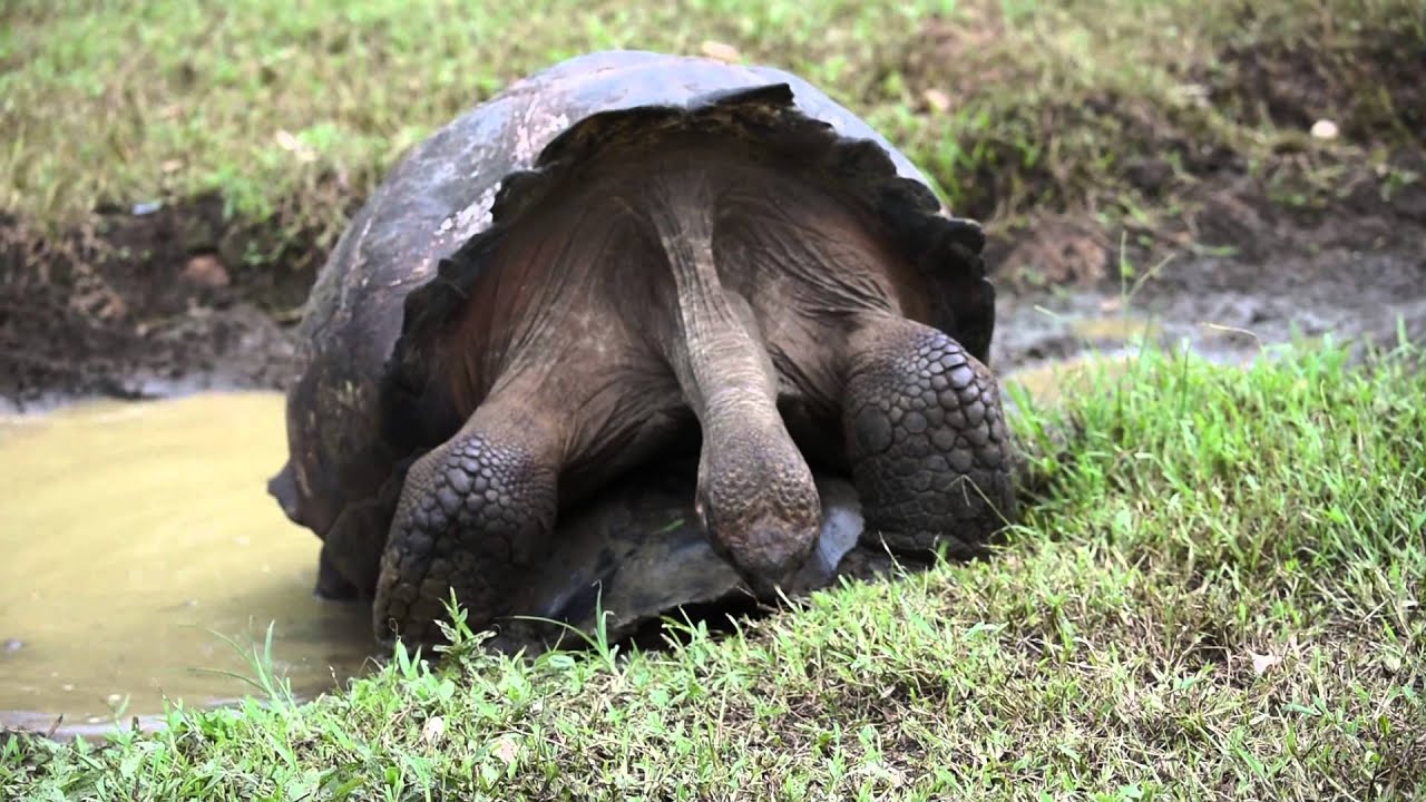 Now for a cigarette - YouTube