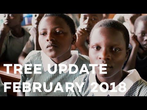 Bilan sur la plantation d’arbres – épisode 7 - Bilan sur la plantation d’arbres – épisode 7