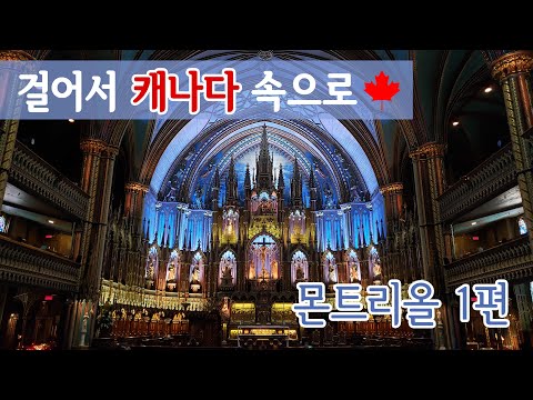 Video: Bazilika Notre-Dame de Montreal (Basilique Notre-Dame de Montreal) opis in fotografije-Kanada: Montreal