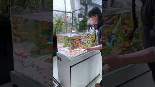 Il fazzoletto è caduto nell’acqua… e l’acquario è diventato splendente 😱🐟