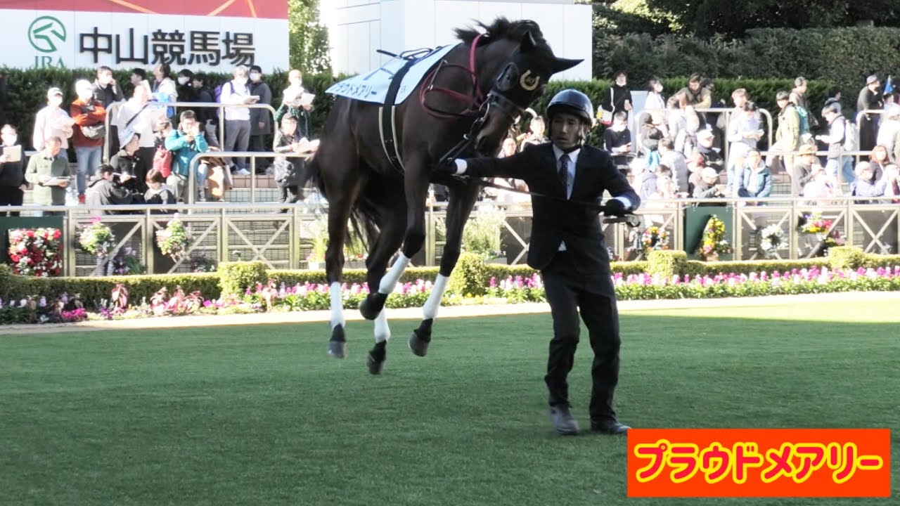 2歳新馬プラウドメアリーのしなやかな身体！