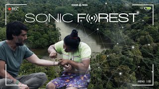 SONIC FOREST (Español)