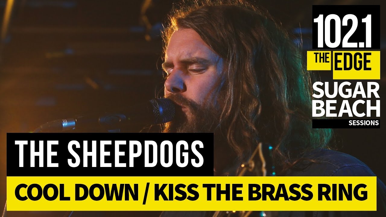 Ver The Sheepdogs - Cool Down / Kiss The Brass Ring (Live at the Edge) no YouTube Ver The Sheepdogs - Cool Down / Kiss The Brass Ring (Live at the Edge) no YouTube