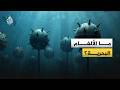 بعد تقارير عن زرع إيران ألغاما بحرية في مضيق هرمز ماذا تعرف عنها