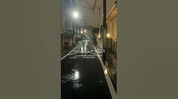 قران كريم بصوت عبدالرحمن مسعد مشالله ع الصوت الهادي