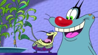 NEW FRIEND | Oggy and the Cockroaches (S02E09) BEST CARTOON COLLECTION | New Episodes in HD