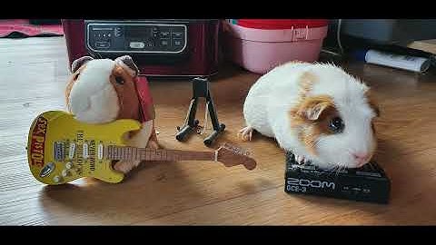 Zoom G1XFour Renderer via Raspberry Pi