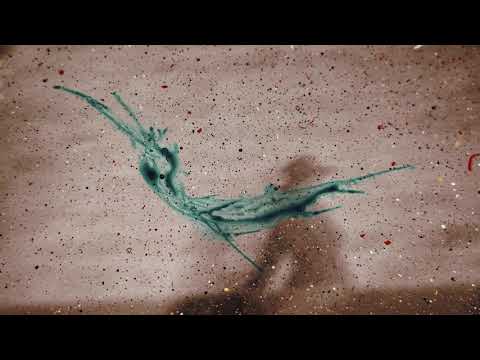 عبادي الجوهر ماتخون الملامح 