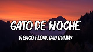 Ñengo Flow, Bad Bunny - Gato de Noche (Letra_Lyrics