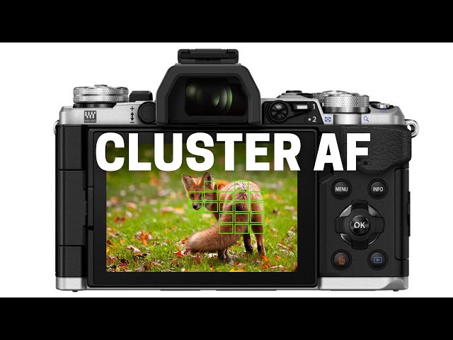 Better C-AF With CLUSTER AREA Shooting On Olympus OM-D class=