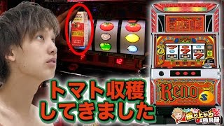 リノ 萌えの聖地のトマト畑を荒らしてきました いそまるの成り上がり回胴録 133 パチスロ スロット
