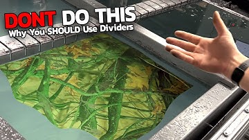 Why You SHOULD Use Hydrographic Dividers | Liquid Concepts | Weekly Tips and Tricks