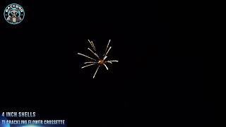 Raccoon Fireworks 1.3G JY4 0075 4 inch Shell Ti Crackling Flower Crossett