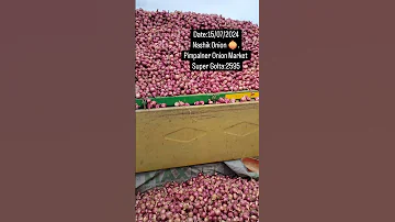 Date 15 07 2024 Pimpalner Onion Market Nashik Onion 