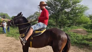 FEIRA DE CAVALOS DE CARUARU PE, TERÇA FEIRA 02/05/2023