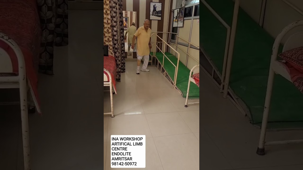 BELOW KNEE ENDOLITE PROSTHESIS