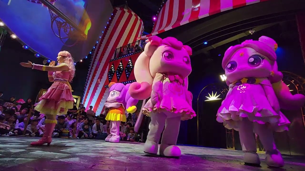 원더 박스 공연 영상