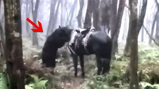 видео: Моменты, в которые вы бы не поверили, если бы не были сняты на видео картинка: Моменты, в которые вы бы не поверили, если бы не были сняты на видео