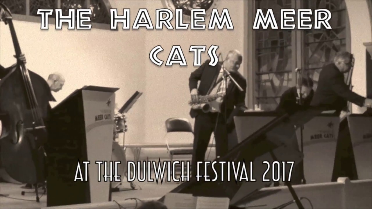 camera iphone 8 plus apk Harlem Meer Cats at the Dulwich Festival