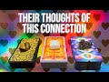 Their thoughts of this connection🤔 - No Contact - Pick A Card