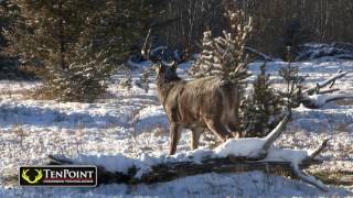 Selecting the Right Crossbow Arrow | TenPoint Crossbows